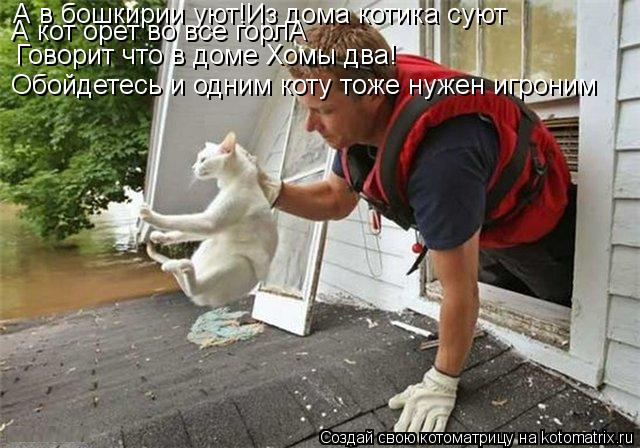 А в бошкирии уют!Из дома котика суют А кот орет во все горлА Говорит что в доме Хомы два! Обойдетесь ... Котоматрица: А в бошкирии уют!Из дома котика суют А кот орет во все горлА Говорит что в доме Хомы два! Обойдетесь и одним коту тоже нужен игроним