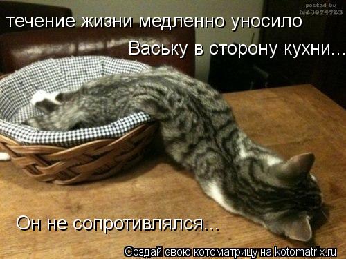 течение жизни медленно уносило Ваську в сторону кухни... Он не сопротивлялся...... Котоматрица: течение жизни медленно уносило Ваську в сторону кухни... Он не сопротивлялся...