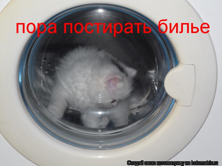 пора постирать билье... Котоматрица: пора постирать билье