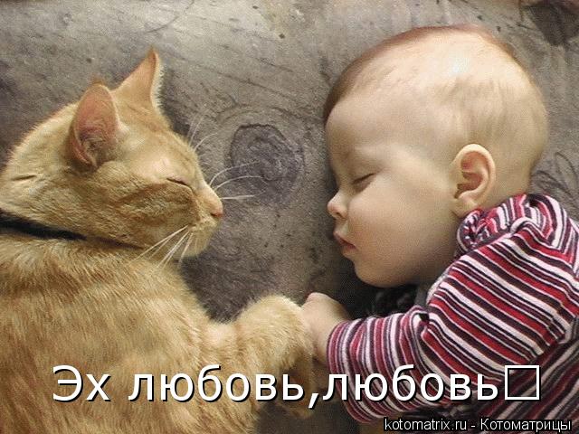 Эх любовь,любовь♥... Котоматрица: Эх любовь,любовь♥