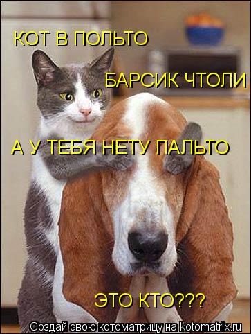 ЭТО КТО??? КОТ В ПОЛЬТО БАРСИК ЧТОЛИ А У ТЕБЯ НЕТУ ПАЛЬТО... Котоматрица: ЭТО КТО??? КОТ В ПОЛЬТО БАРСИК ЧТОЛИ А У ТЕБЯ НЕТУ ПАЛЬТО