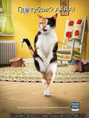 Где тубзик? АААА!... Котоматрица: Где тубзик? АААА!
