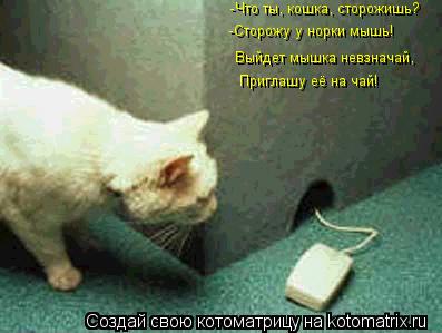 -Что ты, кошка, сторожишь? -Сторожу у норки мышь! Выйдет мышка невзначай, Приглашу её на чай!... Котоматрица: -Что ты, кошка, сторожишь? -Сторожу у норки мышь! Выйдет мышка невзначай, Приглашу её на чай!