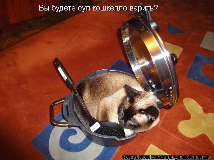 Вы будете суп кошкелло варить?... Котоматрица: Вы будете суп кошкелло варить?