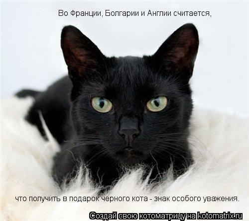 Во Франции, Болгарии и Англии считается, что получить в подарок черного кота - знак особого уважения.... Котоматрица: Во Франции, Болгарии и Англии считается, что получить в подарок черного кота - знак особого уважения.
