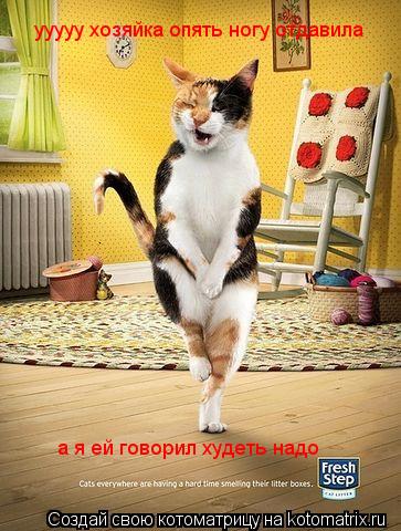 ууууу хозяйка опять ногу отдавила а я ей говорил худеть надо... Котоматрица: ууууу хозяйка опять ногу отдавила а я ей говорил худеть надо