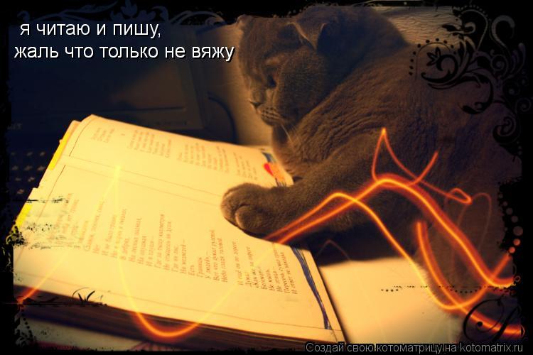 я читаю и пишу, жаль что только не вяжу жаль что только не вяжу... Котоматрица: я читаю и пишу, жаль что только не вяжу жаль что только не вяжу
