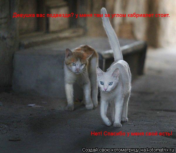 Девушка вас подвезди? у меня там за углом кабриалет стоит. Нет! Спасибо у меня свой есть!... Котоматрица: Девушка вас подвезди? у меня там за углом кабриалет стоит. Нет! Спасибо у меня свой есть!