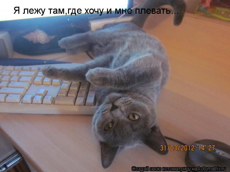 Я лежу там,где хочу и мне плевать...... Котоматрица: Я лежу там,где хочу и мне плевать...