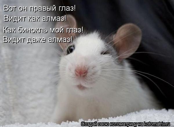 Вот он правый глаз! Видит как алмаз! Как бинокль мой глаз! Видит даже алмаз!... Котоматрица: Вот он правый глаз! Видит как алмаз! Как бинокль мой глаз! Видит даже алмаз!