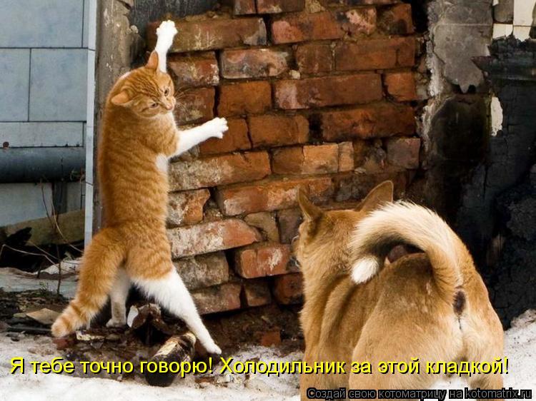 Я тебе точно говорю! Холодильник за этой кладкой!... Котоматрица: Я тебе точно говорю! Холодильник за этой кладкой!