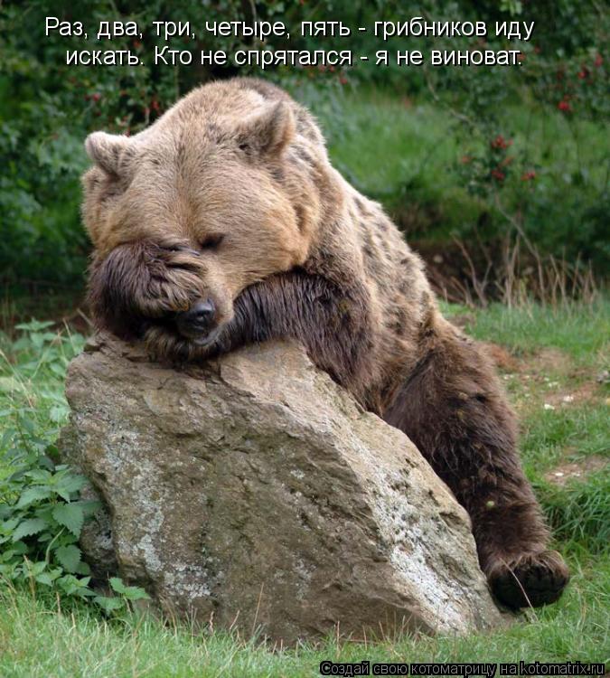 Раз, два, три, четыре, пять - грибников иду искать. Кто не спрятался - я не виноват.... Котоматрица: Раз, два, три, четыре, пять - грибников иду искать. Кто не спрятался - я не виноват.