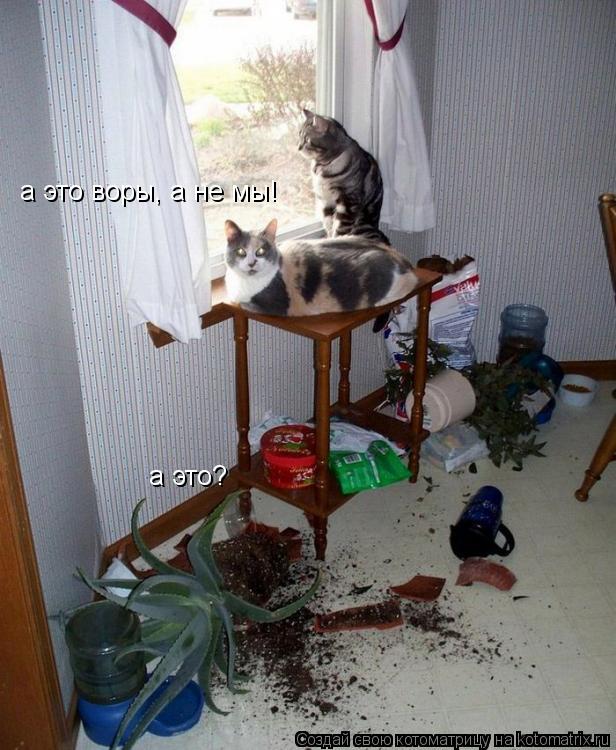 а это? а это воры, а не мы!... Котоматрица: а это? а это воры, а не мы!