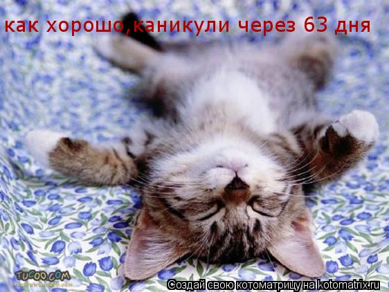 как хорошо,каникули через 63 дня как хорошо,каникули через 63 дня... Котоматрица: как хорошо,каникули через 63 дня как хорошо,каникули через 63 дня