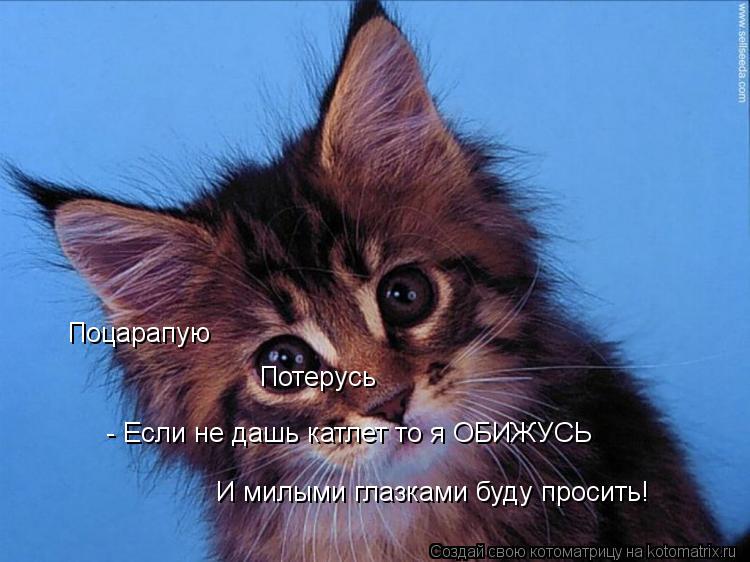 - Если не дашь катлет то я ОБИЖУСЬ Поцарапую Потерусь И милыми глазками буду просить!... Котоматрица: - Если не дашь катлет то я ОБИЖУСЬ Поцарапую Потерусь И милыми глазками буду просить!