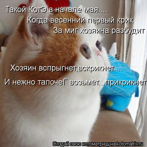 Такой КотЭ в начале мая.... Когда весенний первый крик За миг хозяина разбудит Хозяин вспрыгнет,вскри... Котоматрица: Такой КотЭ в начале мая.... Когда весенний первый крик За миг хозяина разбудит Хозяин вспрыгнет,вскрикнет.... И нежно тапочеГ возьмёт...прикри