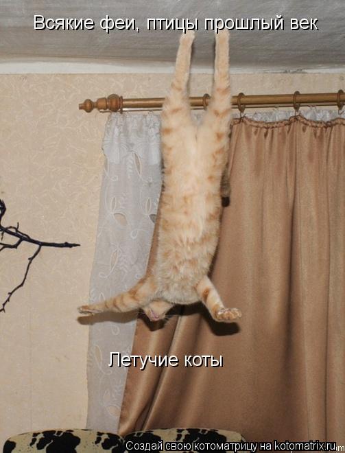 Всякие феи, птицы прошлый век Летучие коты... Котоматрица: Всякие феи, птицы прошлый век Летучие коты