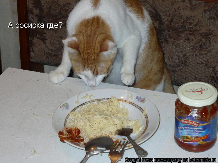 А сосиска где?... Котоматрица: А сосиска где?