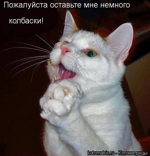 Пожалуйста оставьте мне немного колбаски!... Котоматрица: Пожалуйста оставьте мне немного колбаски!