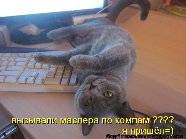 вызывали маслера по компам ???? я пришёл=)... Котоматрица: вызывали маслера по компам ???? я пришёл=)
