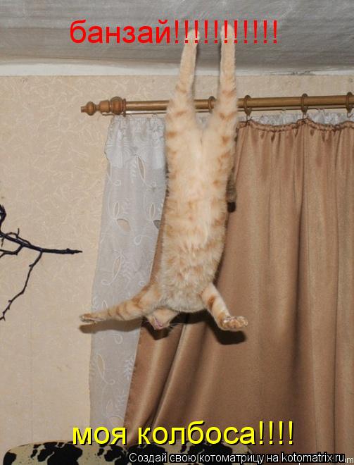 банзай!!!!!!!!!!! моя колбоса!!!!... Котоматрица: банзай!!!!!!!!!!! моя колбоса!!!!