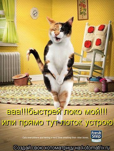 ааа!!!быстрей локо мой!!! или прямо тут лоток устрою!... Котоматрица: ааа!!!быстрей локо мой!!! или прямо тут лоток устрою!