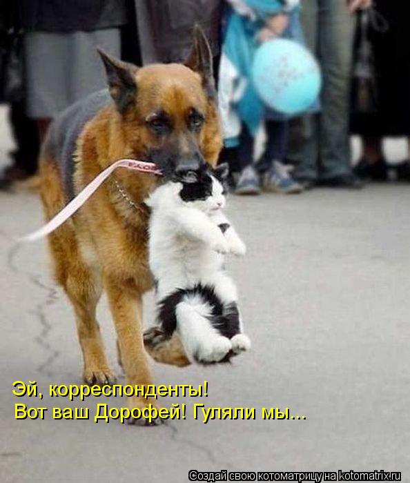 Эй, корреспонденты! Вот ваш Дорофей! Гуляли мы...... Котоматрица: Эй, корреспонденты! Вот ваш Дорофей! Гуляли мы...