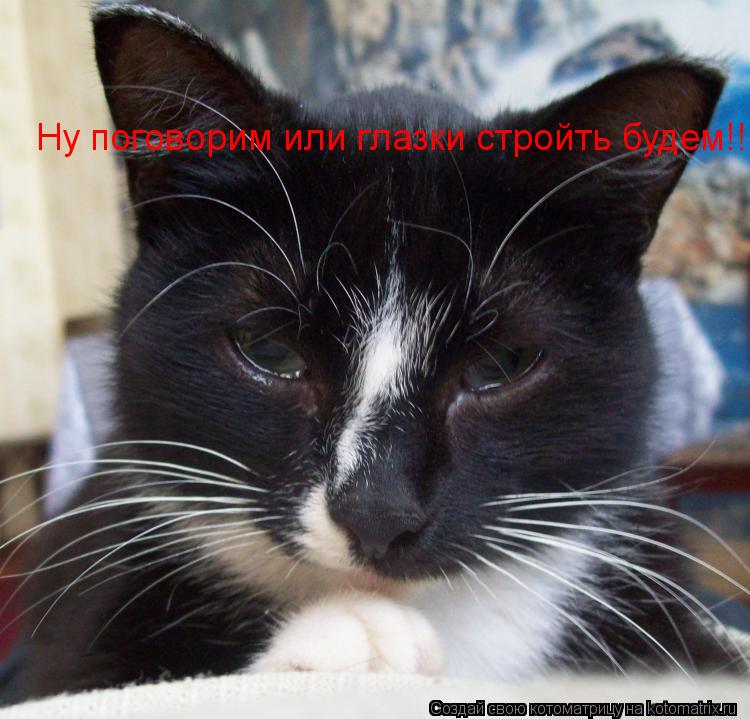 Ну поговорим или глазки стройть будем!!!... Котоматрица: Ну поговорим или глазки стройть будем!!!