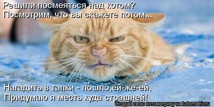 Решили посмеяться над котом? Посмотрим, что вы скажете потом... Нагадить в тапки - пошло,ей-же-ей, Пр... Котоматрица: Решили посмеяться над котом? Посмотрим, что вы скажете потом... Нагадить в тапки - пошло,ей-же-ей, Придумаю я месть куда страшней! '