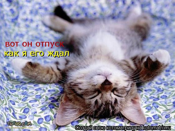 вот он отпуск как я его ждал... Котоматрица: вот он отпуск как я его ждал