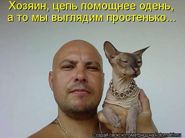 Хозяин, цепь помощнее одень, а то мы выглядим простенько...... Котоматрица: Хозяин, цепь помощнее одень, а то мы выглядим простенько...
