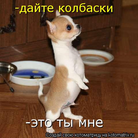 -дайте колбаски -это ты мне... Котоматрица: -дайте колбаски -это ты мне