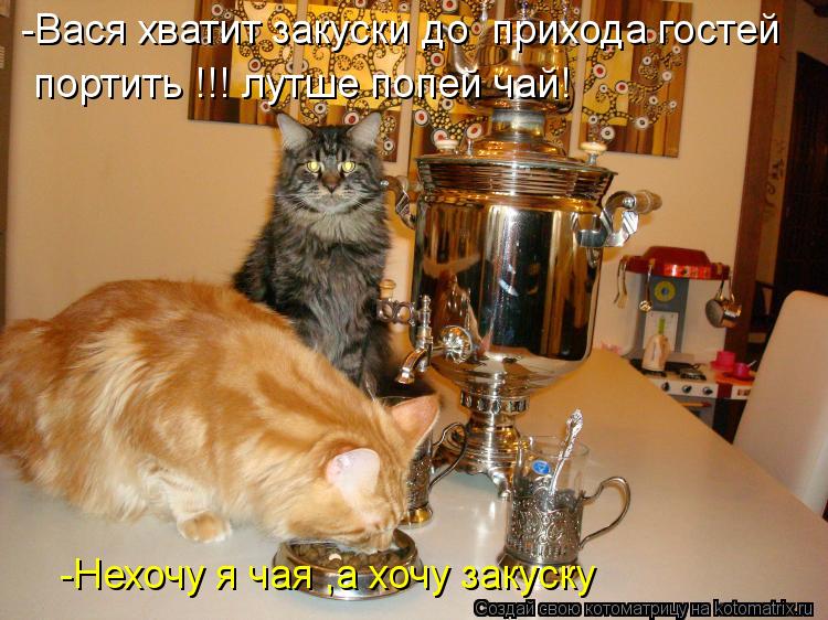 -Вася хватит закуски до прихода гостей портить !!! лутше попей чай! -Нехочу я чая ,а хочу закуску... Котоматрица: -Вася хватит закуски до прихода гостей портить !!! лутше попей чай! -Нехочу я чая ,а хочу закуску
