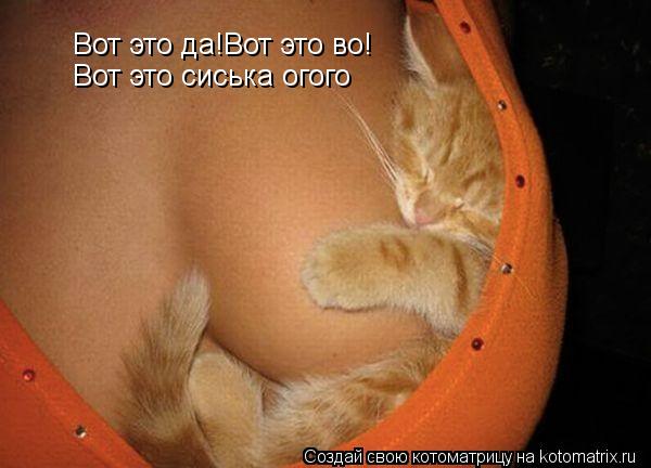 Вот это да!Вот это во! Вот это да!Вот это во! Вот это сиська огого... Котоматрица: Вот это да!Вот это во! Вот это да!Вот это во! Вот это сиська огого