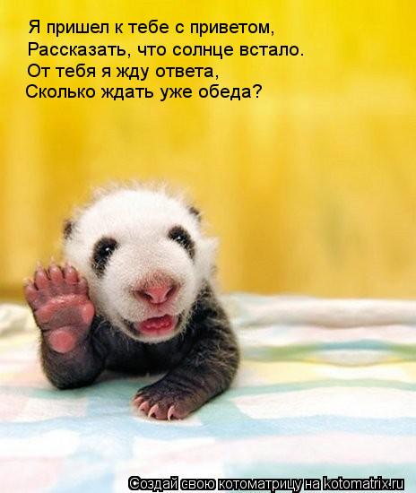 Я пришел к тебе с приветом, Рассказать, что солнце встало. От тебя я жду ответа, Сколько ждать уже об... Котоматрица: Я пришел к тебе с приветом, Рассказать, что солнце встало. От тебя я жду ответа, Сколько ждать уже обеда?