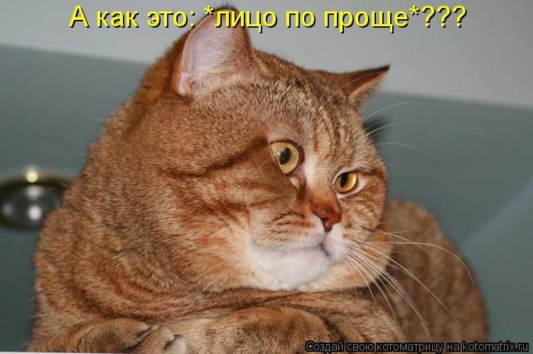 А как это: *лицо по проще*???... Котоматрица: А как это: *лицо по проще*???
