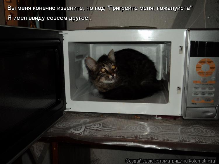 Котоматрица: Вы меня конечно извените, но под "Пригрейте меня, пожалуйста" Я имел ввиду совсем другое..