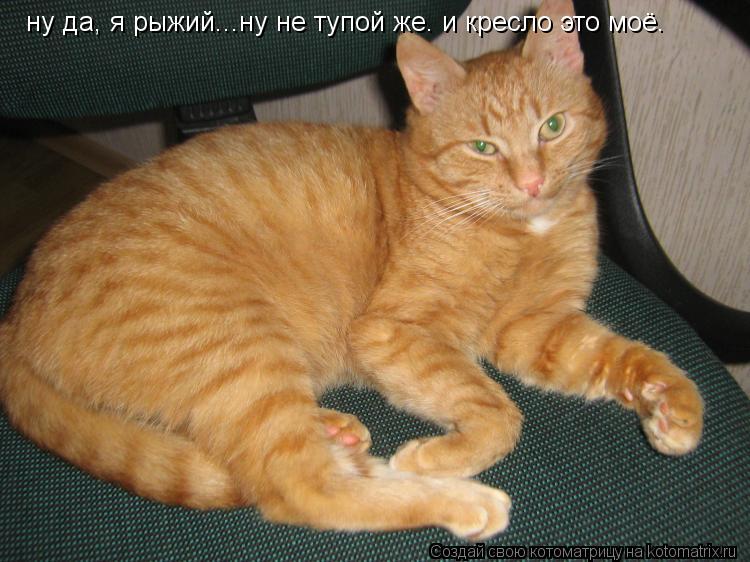 Котоматрица: ну да, я рыжий...ну не тупой же. и кресло это моё.