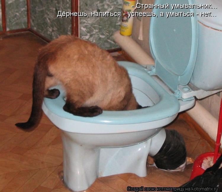 - Странный умывальник... Дёрнешь, напиться - успеешь, а умыться - нет...... Котоматрица: - Странный умывальник... Дёрнешь, напиться - успеешь, а умыться - нет...