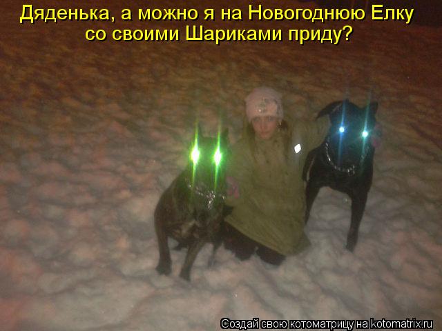 Котоматрица: Дяденька, а можно я на Новогоднюю Елку  со своими Шариками приду?