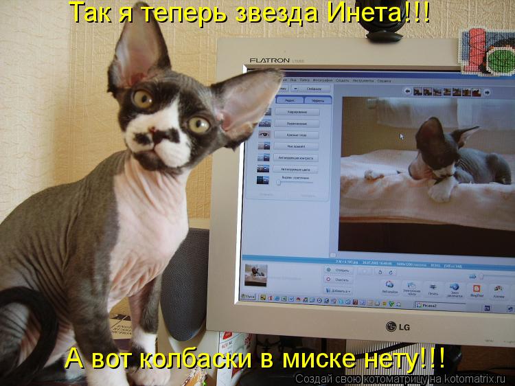Котоматрица: Так я теперь звезда Инета!!! А вот колбаски в миске нету!!!