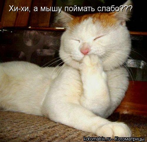 Котоматрица: Хи-хи, а мышу поймать слабо???