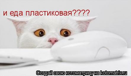 Котоматрица: и еда пластиковая????