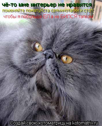 Котоматрица: чё-то мне интерьер не нравится поменяйте пожалуйста свянинотапки и стол чтобы я побольше ЕЛ а не БИЛСЯ тапком