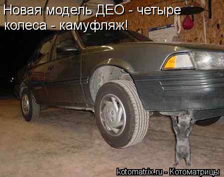 Котоматрица: Новая модель ДЕО - четыре  колеса - камуфляж!
