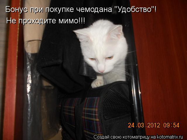 Котоматрица: Бонус при покупке чемодана "Удобство"! Не проходите мимо!!!