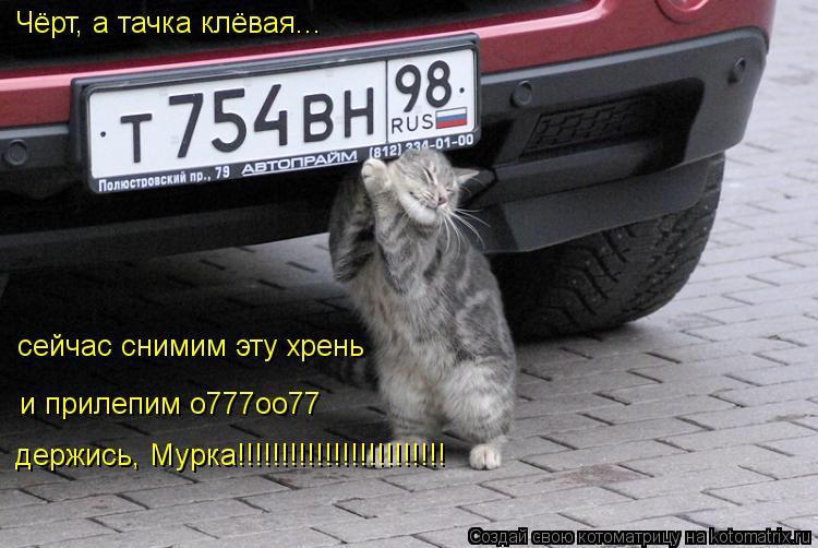 Котоматрица: Чёрт, а тачка клёвая... сейчас снимим эту хрень и прилепим о777оо77 держись, Мурка!!!!!!!!!!!!!!!!!!!!!!!!