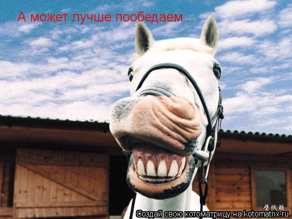 Котоматрица: А может лучше пообедаем...