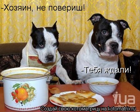 -Хозяин, не повериш! -Тебя ждали!... Котоматрица: -Хозяин, не повериш! -Тебя ждали!
