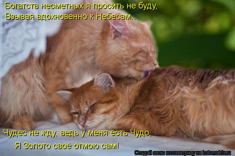 Богатств несметных я просить не буду, Взывая вдохновенно к Небесам.. Чудес не жду, ведь у меня есть Ч... Котоматрица: Богатств несметных я просить не буду, Взывая вдохновенно к Небесам.. Чудес не жду, ведь у меня есть Чудо, Я Золото своё отмою сам!